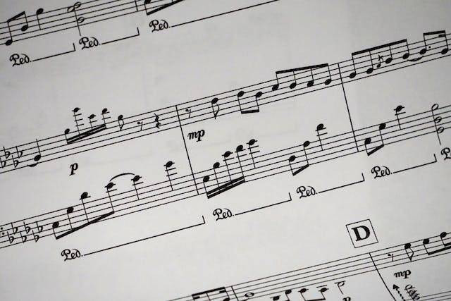 Ilustrasi jenis variasi dalam lagu yang dapat membentuk pola irama. Sumber: pexels.com/Pixabay