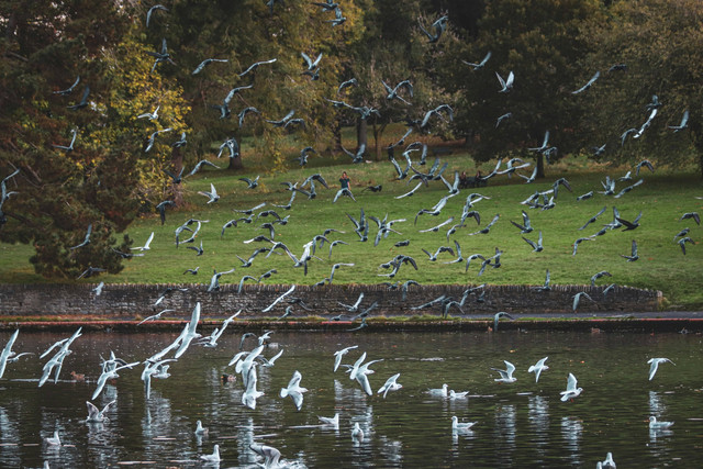 Ilustrasi Tempat Wisata Surabaya Barat, Foto: Unsplash/Boys in Bristol Photography
