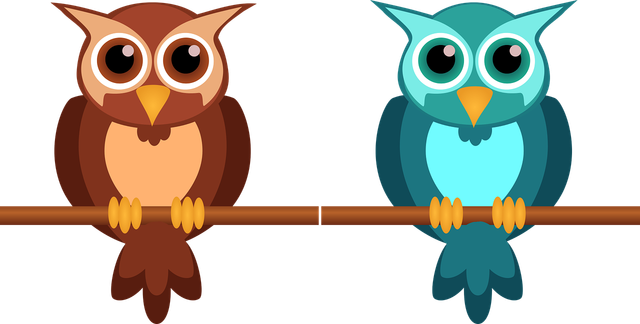 ilustrasi gambar burung hantu (Pixabay)