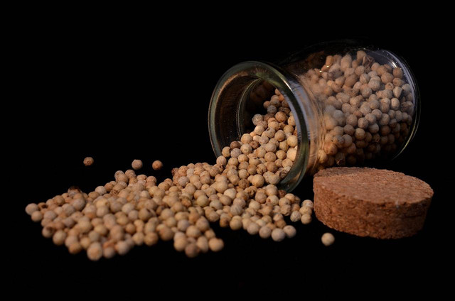 Ilustrasi manfaat merica. Sumber foto: Pixabay