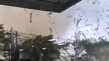 Bencana puting beliung terjang Kabupaten Bandung dan Kabupaten Sumedang pada Rabu (21/2/2024). Foto: Dok. Istimewa