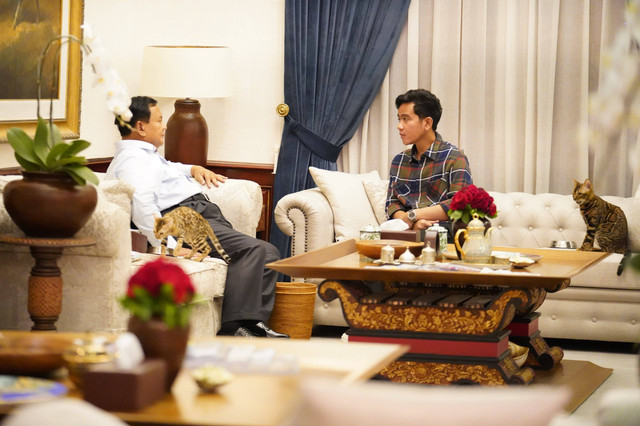 Capres 02 Prabowo Subianto berdiskusi santai dengan Cawapres Gibran Rakabuming Raka, ditemani dua ekor kucing yang sedang sibuk makan, di kediaman Prabowo, di Jalan Kertanegara IV, Jakarta Selatan, Jumat (23/2). Foto: Dok. Istimewa