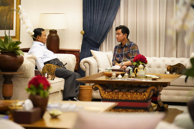Capres 02 Prabowo Subianto berdiskusi santai dengan cawapres Gibran Rakabuming Raka, ditemani dua ekor kucing yang sedang sibuk makan, di kediaman Prabowo, di Jalan Kertanegara IV, Jakarta Selatan, Jumat (23/2). Foto: Dok. Istimewa