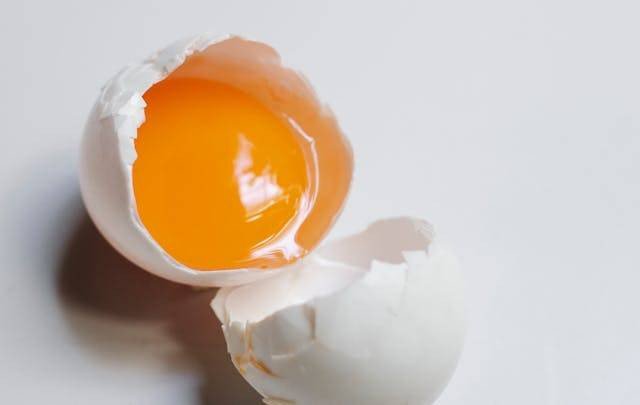 Bagian-bagian telur. Foto hanya ilustrasi. Sumber: Pexels/Klaus Nielsen