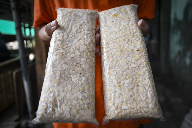 Seorang pekerja menunjukkan hasil produksi tempe di salah satu industri rumahan di Jakarta, Selasa (27/22024). Foto: Erlangga Bregas Prakoso/Antara Foto