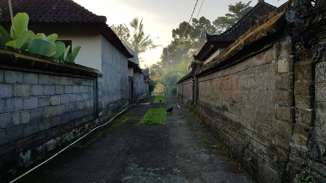 Between Two Gates Kotagede. Foto hanya ilustrasi, bukan tempat sebenarnya. Sumber: Unsplash/danny schleicher