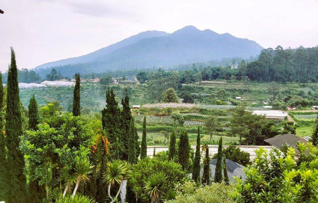 Dokumen Pribadi: Lereng Gunung Tangkuban Perahu, tempat hening untuk merenung,