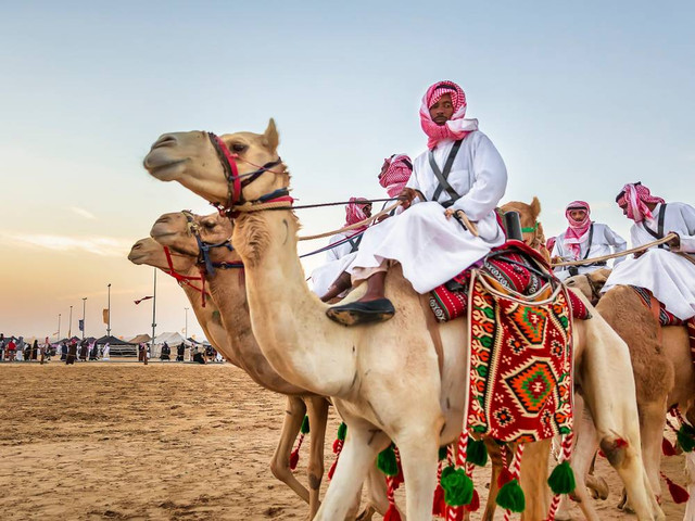 Ilustrasi festival unta di Arab Saudi. Foto: AFZAL KHAN MAHEEN/Shutterstock