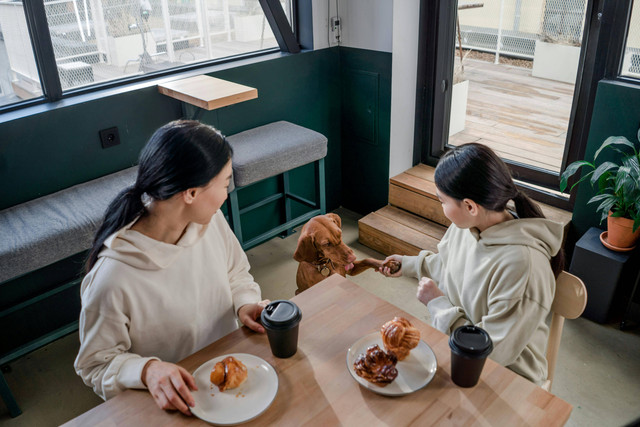 Cafe Pet Friendly di Jakarta Timur. Foto hanya ilustrasi, bukan tempat sebenarnya. Sumber: Pexels/Ron Lach