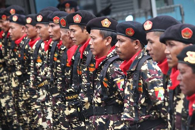 Ilustrasi tujuan rekonstruksi dan rasionalisasi angkatan perang. Sumber: pixabay