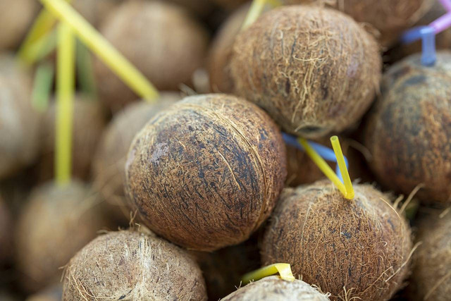 Ilustrasi kelebihan dan kekurangan cocopeat. Foto: Pexels