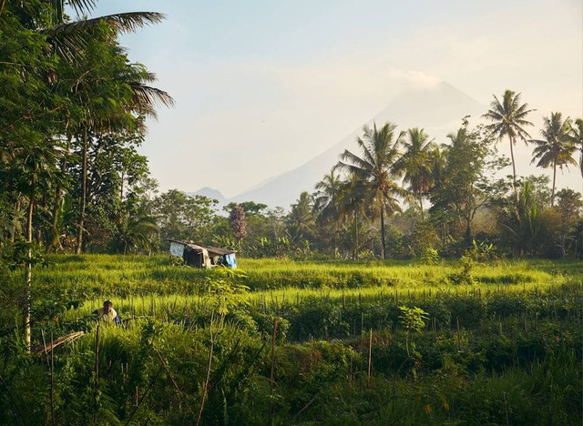 Joglo Putih Resto & Coffee. Foto hanya ilustrasi bukan tempat sebenarnya.  Sumber Unsplash