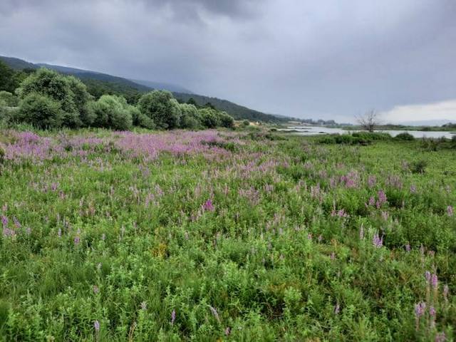 Ilustrasi Desa Tigawasa (Foto hanya ilustrasi, bukan tempat sebenarnya) Sumber: unsplash.com/ Mert Dilmen