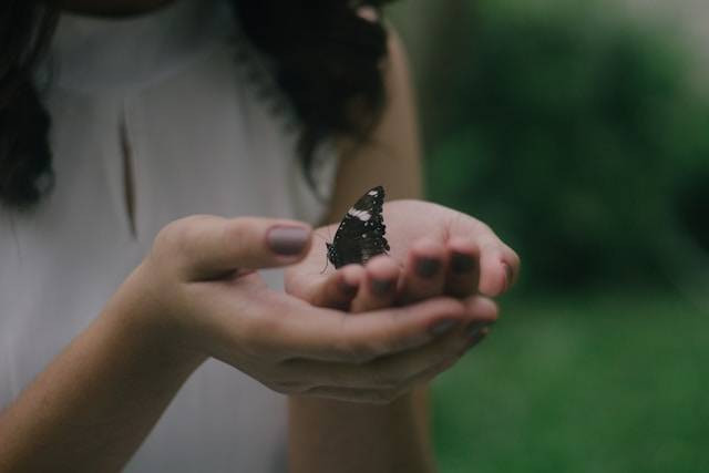 Kemenuh Butterfly Park. Foto hanyalah ilustrasi, bukan tempat yang sebenarnya. Sumber: Unsplash/Reign Abarintos