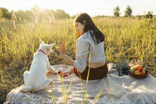 Ilustrasi Kenapa Anjing Suka Mengikuti Kita? Sumber: Unsplash
