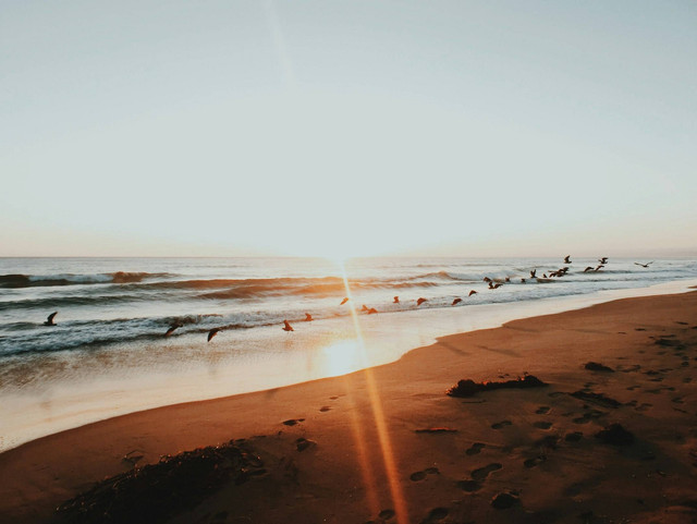Pantai Pandansimo. Foto hanya ilustrasi, bukan gambar sebenarnya. Sumber: Unsplash/ Vianka Merano
