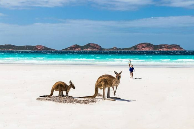 Ilustrasi Garis wallace adalah. Sumber: unsplash.com/ Nick Dunn
