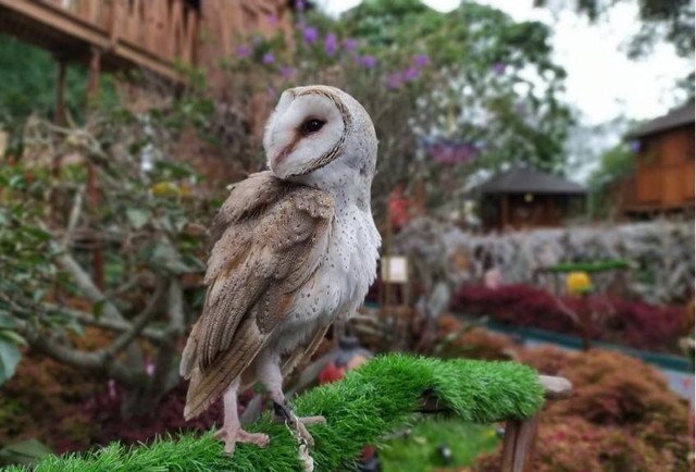 Wisata Dekat Lembang Park & Zoo. Foto hanyalah ilustrasi bukan tempat sebenarnya. Sumber: Unsplash/ivan hermawan