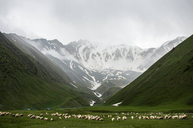 Gambar dari lipatan tegak adalah. Sumber: pexels.com