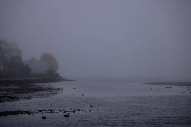 Ilustrasi dampak perang dingin, sumber foto: David Kanigan by pexels.com