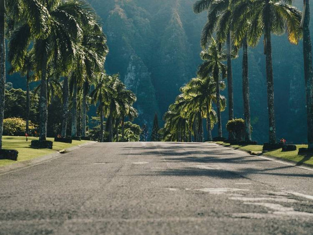 nama jalan di Denpasar. Foto hanya ilustrasi, bukan tempat sebenarnya. Sumber: Unsplash/guille pozzi