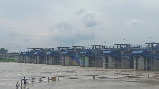 Kondisi Sungai Bengawan Solo di Bendung Gerak, Desa Ngringinrejo, Kecamatan Kalitidu, Kabupaten Bojonegoro. (Aset: BeritaBojonegoro)