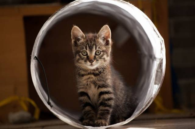 Ilustrasi kelebihan pasir tofu, sumber foto: Rainer Eck by pexels.com