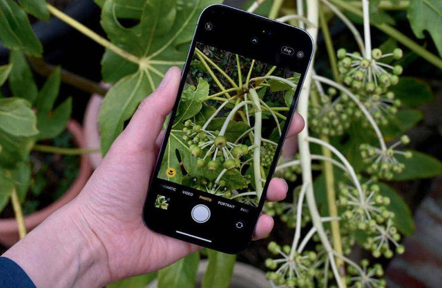 Ilustrasi kamera makro di HP. Foto: everand