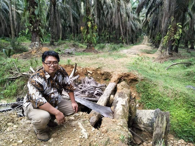 Pekebun dan Dampak Perkebunan Sawit dalam Skema Dana Bagi Hasil Sawit