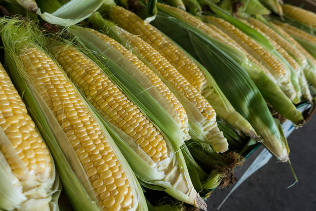 Ilustrasi Cara Membuat Perkedel Jagung. Unsplash/Andre Oulet.