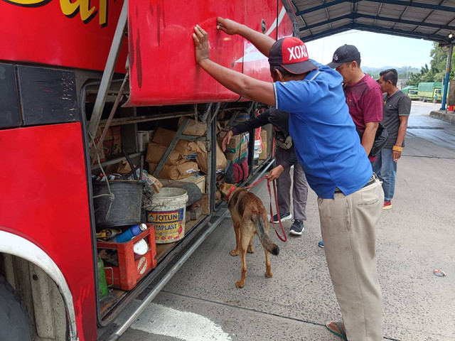 Anjing K-9 melacak peredaran narkoba di Pelabuhan Bakauheni, Lampung. Foto: Polri