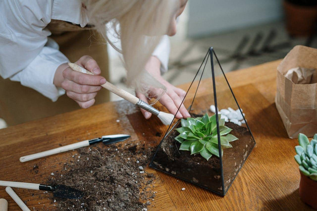 ilustrasi terrarium. Sumber foto: Pexels