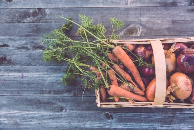Ilustrasi Tips Memulai Hobi Berkebun Sayuran. Foto: dok. Unsplash/Markus Spiske