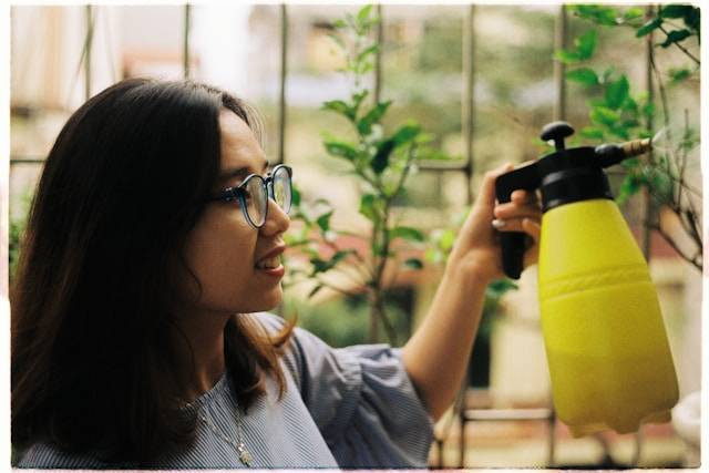 Ilustrasi Tips Merawat Tanaman Hias. Foto: dok. Unsplash/Trung Thanh