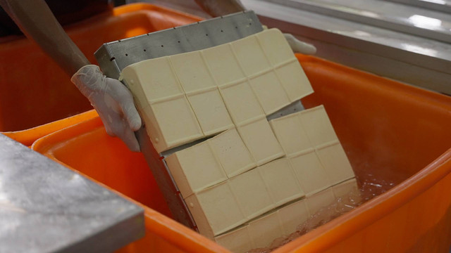 Berkunjung ke pabrik tahu dan tempe Sarirasa Group x Tofu Deli di Senayan, Jakarta (21/3/2024). Foto: Sarirasa Group