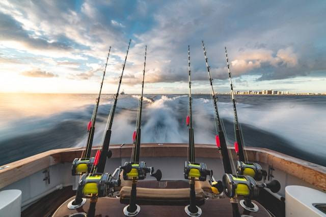 Panduan Memancing di Danau. Foto Hanya Ilustrasi. Sumber Foto: Unsplash.com/stephen momot
