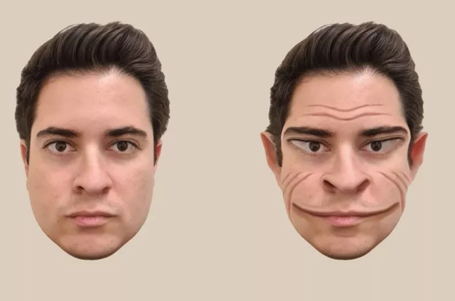 Penyakit Langka Ini Bisa Bikin Si Penderita Lihat Wajah Orang Lain ...