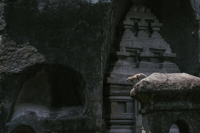 Foto Hanya Ilustrasi: Candi Sari. Sumber: Mikhail Nilov/Pexels.com