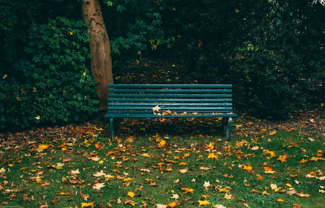 Taman Cikapayang Dago. Foto Hanya Ilustrasi, Bukan Tempat Sebenarnya. Sumber Unsplash/Will Paterson