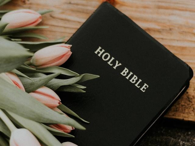Ilustrasi soal cerdas cermat Alkitab beserta jawabannya. Sumber: unsplash.com/PriscillaDuPreez.