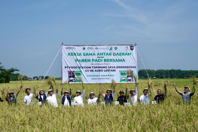 Food Station panen padi di Indramayu. Foto: Food Station