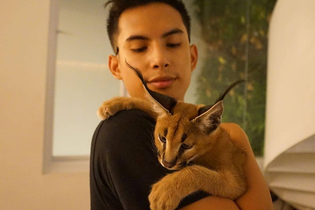 Okin bersama kucing caracal peliharaannya, Nala. Foto: Instagram/@okintph