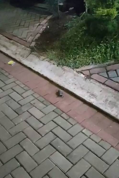 Granat yang terlempar ke permukiman warga akibat gudang peluru TNI meledak pada Sabtu malam (30/3/2024). Foto: Dok. Istimewa