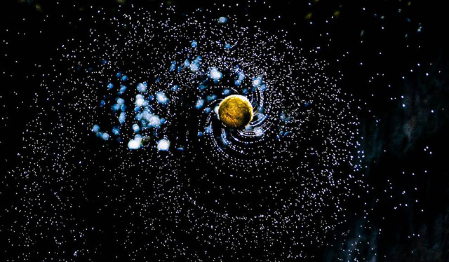 Ilustrasi satelit planet venus. Sumber: www.unsplash.com