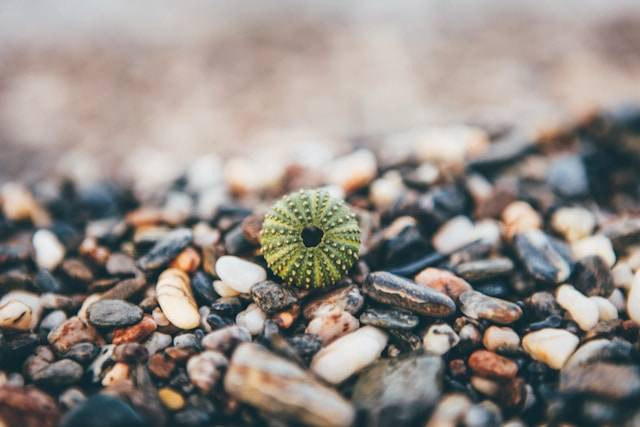 Toko Barang Antik di Bandung. Foto hanya ilustrasi, bukan tempat yang sebenarnya. Sumber foto: Unsplash/Nick