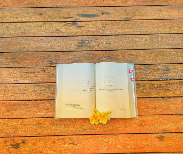 Ilustrasi Contoh Pantun Buat Idul Fitri, foto:unsplash