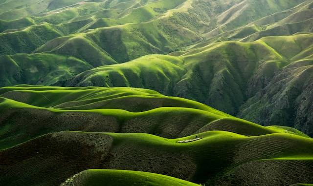 Contoh Teks Deskripsi tentang Alam. Foto hanya ilustrasi. Sumber foto: Unsplash/Qingbao