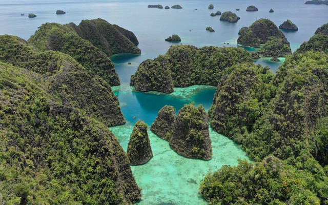 Ilustrasi upacara adat Papua. Sumber: Ditras Family/pexels.com