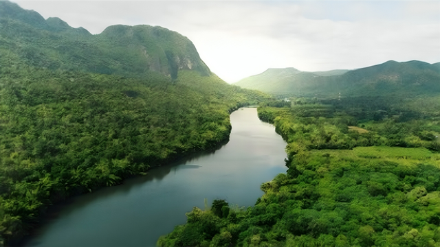 ilustrasi ekosistem sumber foto : shutterstock