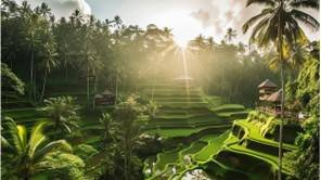 Ilustrasi daya tarik Ubud Bali sebagai destinasi wisata. Foto: Freepik